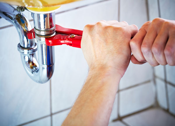 About Thornwood Plumbers
